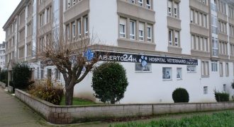 Local comercial, Ronda de Fingoi