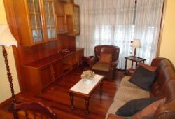 Apartamento de 2 dormitorios, Pintor Villamil