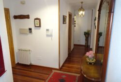 Apartamento de 2 dormitorios, Pintor Villamil
