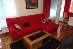 Apartamento de 2 dormitorios, Pintor Villamil