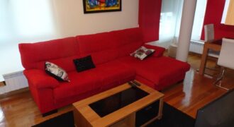 Apartamento de 2 dormitorios, Pintor Villamil