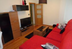 Apartamento de 2 dormitorios, Pintor Villamil