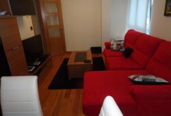 Apartamento de 2 dormitorios, Pintor Villamil