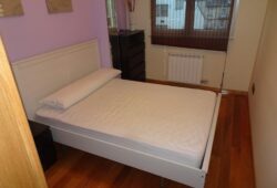 Apartamento de 2 dormitorios, Pintor Villamil