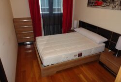 Apartamento de 2 dormitorios, Pintor Villamil