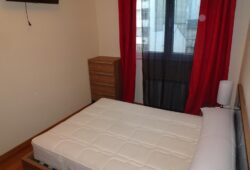 Apartamento de 2 dormitorios, Pintor Villamil