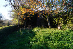 Casa de piedra, Lousadela