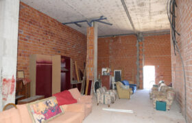 Local comercial, Angelo Colocci