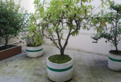 Apartamento de 2 dormitorios, Calle Galicia
