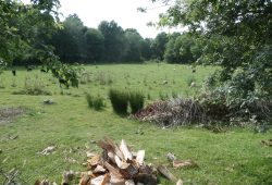 2 chalets individuales, Friol