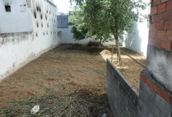 Edificio con 6 viviendas, Lamas de Prado