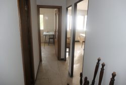Edificio con 6 viviendas, Lamas de Prado