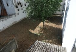 Edificio con 6 viviendas, Lamas de Prado