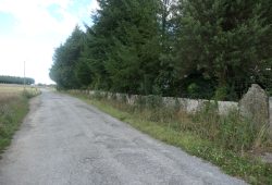 Casa de piedra, Fargós – Constante