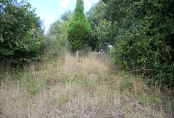 Casa de piedra, Fargós – Constante