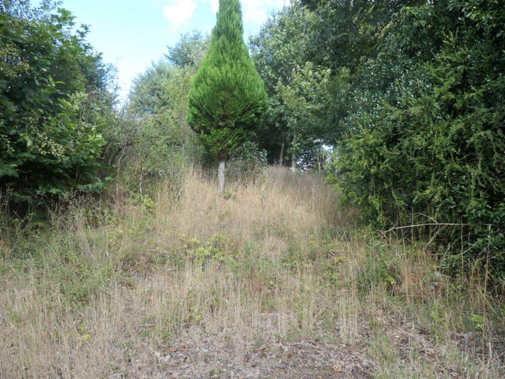 Casa de piedra, Fargós – Constante